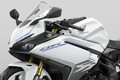 同じ“軽二輪スーパースポーツ”でも意外と違う!? ホンダ「CBR250RR」とカワサキ「ZX-25R」を比べてみた【ライバルをスペック比較】