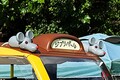 トヨタの「ネコバス!?」 ふかふかシートで思わずテンションMAX!? 愛知ジブリパークで乗れる「APMネコバス」とは