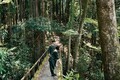 奥多摩、静岡、八ヶ岳など、ローカルカルチャーが体験できる小さな宿5軒──特集：自分磨きの夏旅へ