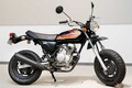 原付だけど5速MTの本格派!!　ホンダ「エイプ」がストリートシーンで若者の個性演出を応援　キャッチコピーは「渋谷原宿エイエイ・プー」!?