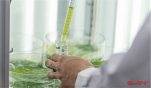ホンダが「藻」の力で世界を変える!? 「ホンダドリーモ」の大規模な実証実験を2023年から開始予定