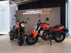 大排気量VツインじゃないハーレーX350を日本に! 70万円切り低価格＆国内導入への真相とは!?〈HDJ野田社長〉