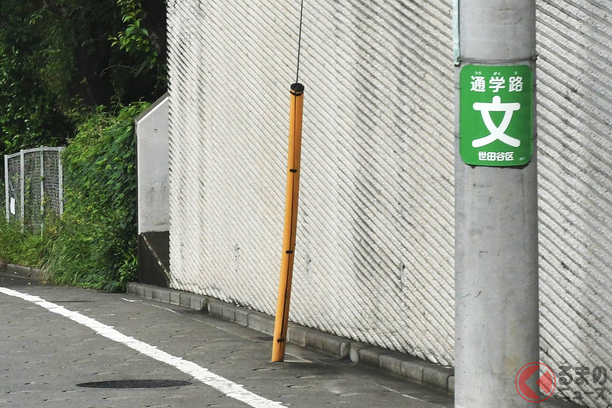 インパクト大の存在感 電柱の トラ柄カバー はなぜ設置 謎の 電柱標識板 とは くるまのニュース 自動車情報サイト 新車 中古車 Carview