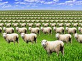 寝苦しい夜、エアコンを使う以外にできる快眠のヒントを専門家に訊いた
