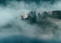 雲海の発生頻度は高くないがその姿はまさに幻想的（岐阜県 郡上八幡城）【雲海ドライブ＆スポット Spot 52】