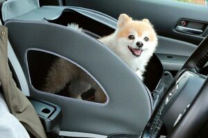 ホンダ 愛犬用アクセサリー装着車を展示 アウトドアドッグフェスタin八ヶ岳