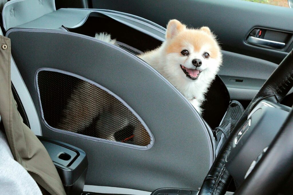 ホンダ 愛犬用アクセサリー装着車を展示 アウトドアドッグフェスタin八ヶ岳