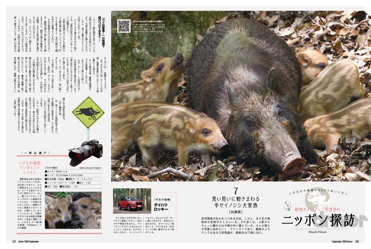 自然の中の動物園で激写 三好秀昌のニッポン探訪 取材ウラ話 第7回 イノシシ Driver Web 自動車情報サイト 新車 中古車 Carview