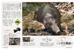 自然の中の動物園で激写！「三好秀昌のニッポン探訪・取材ウラ話　第7回～イノシシ」