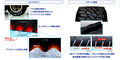 ダンロップ　スモール・コンパクトなオフロードSUV向けホワイトレターのスタッドレスタイヤ発売