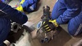 【ニュルブルクリンク24時間レース2025】SUBARU/STI　大クラッシュからの復活で見せたチーム力と人間愛