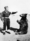 WW2に実在した“クマの兵士” 動物なのにガチで人間扱いの「一般兵」となった理由とは？