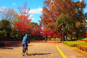 秋はサイクリングの季節!!　はじめるとしたらどんな自転車で漕ぎ出せば良い？