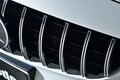 最新AMGトップモデル専用の「パナメリカーナ」フェイスにアップデート！