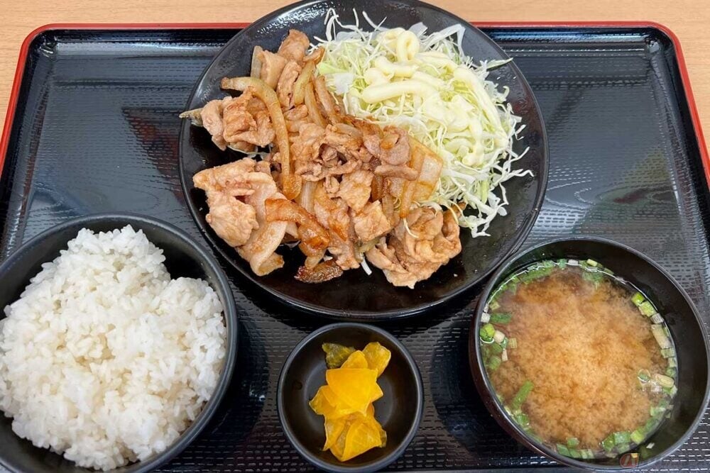 豚肉も玉ねぎもどっさりで大満足!!　常磐道「美野里PA」の生姜焼き定食は自家製ソースがキモ　バイクで行く高速道路グルメ