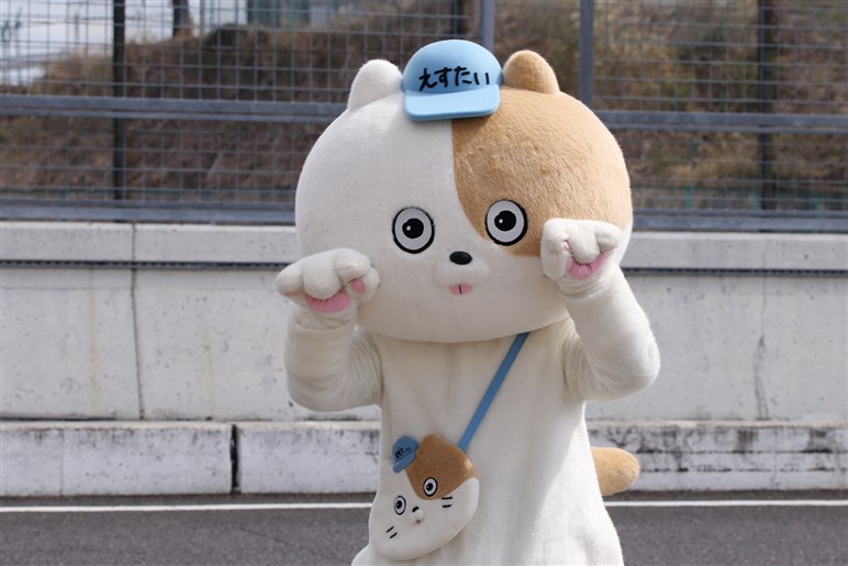 【S耐】いま日本で最も熱いレース!?　珠玉混合バトルにメーカーまで加わり、さらにライブ配信は無料