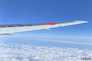 北海道や沖縄にも“7000マイル”で行けちゃうって!? 4つの候補地から行き先が決まるミステリーツアー JAL「どこかにマイル」をどう使いこなす？ 注意すべき点とは