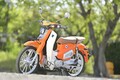 ホンダ独自の「カブ」カテゴリに新たな刺客登場!?タイ生まれの GPX「POPz110」とは