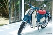 75年前に登場した“初代カブ”が復活!? 新カラーで登場したホンダ「スーパーカブC125」販売から半年 販売店への反響とは