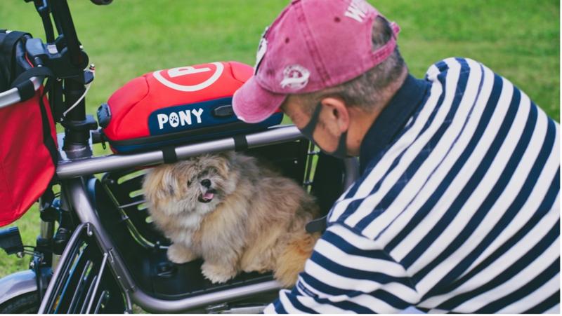 新車 電動バイク PONY ペットと一緒に ワケあり特価車 w2-worldbuffet ...