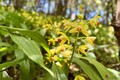 眺望がスゴイ!?　梅雨が明けたら行ってみて！　景色・文化・歴史を味わう高知の名所『五台山』の魅力とは