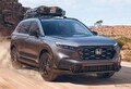 米国の日本車販売、「駆け込み需要」でトヨタ・ホンダなど4月大幅増［新聞ウォッチ］