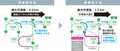 首都高 日本橋区間の地下化はいつ完成する？ 工事の進捗と今後の展望【いま気になる道路計画】