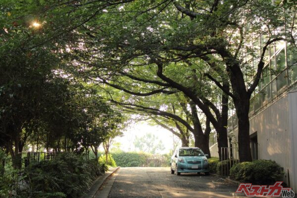 木陰に駐車しても安心できない!?　紫外線以外にもクルマの塗装を傷める要因が!!