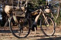 電動アシスト自転車はレジャー領域へ　ヤマハ発動機と『FREAK'S STORE』が新型スポーツe-BIKEで「キャンプ」コンセプトモデルを製作