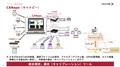 【VECTOR】“クルマはスマホのようになる”そのために必要なSDV化へ向けての技術進化