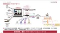【VECTOR】“クルマはスマホのようになる”そのために必要なSDV化へ向けての技術進化