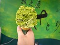 最新道の駅「そらっと牧之原」がオープン！ 静岡県屈指の絶対に食べたい“お茶グルメ”を紹介【道の駅マニアの推し駅ガイド】vol.2