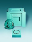 ティファニーがダニエル・アーシャムによる特別なネックレスを発表──ファインアートとファインジュエリーが融合！