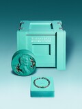 ティファニーがダニエル・アーシャムによる特別なネックレスを発表──ファインアートとファインジュエリーが融合！