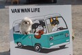 愛犬と車中泊できるイベント「VAN WAN LIFE」が関東で初開催！ メッツァビレッジで北欧の夏まつりを体験