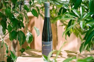 “モリゾウ、森を飲む”の発想から誕生した『MORIZO TEA』を新緑の空間で楽しめる特別展示が開催