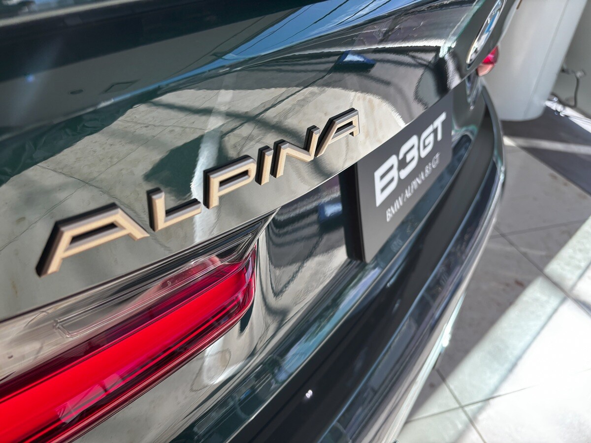 【新品、未使用】　アルピナ　ALPINA jrベスト　脊椎保護 楽天市場】アルピナ プロテクターの通販