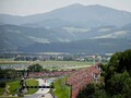 【F1オーストリアGP プレビュー】ホームコースでレッドブルが復権か、マクラーレンのチーム内バトルにも注目