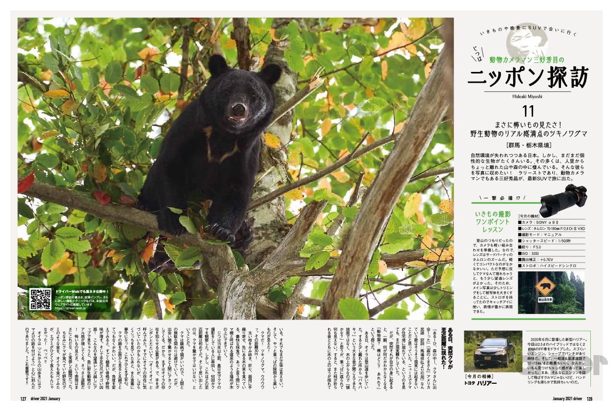 野生動物のリアル感がハンパない 三好秀昌のニッポン探訪 取材ウラ話 第11回 ツキノワグマ Driver Web 自動車情報サイト 新車 中古車 Carview