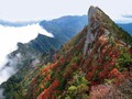西日本最高峰の石鎚山が雲のじゅうたんに包まれる（愛媛県 石鎚スカイライン）【雲海ドライブ＆スポット Route 77】