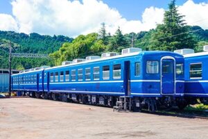 12系客車が“ブルトレ風”機関車と走る！11月16日から5両編成で運行開始　大井川鐡道