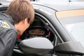 ２組の夫婦がドライバーで参戦！　Ｓ耐富士24時間レースならではの胸熱エピソード