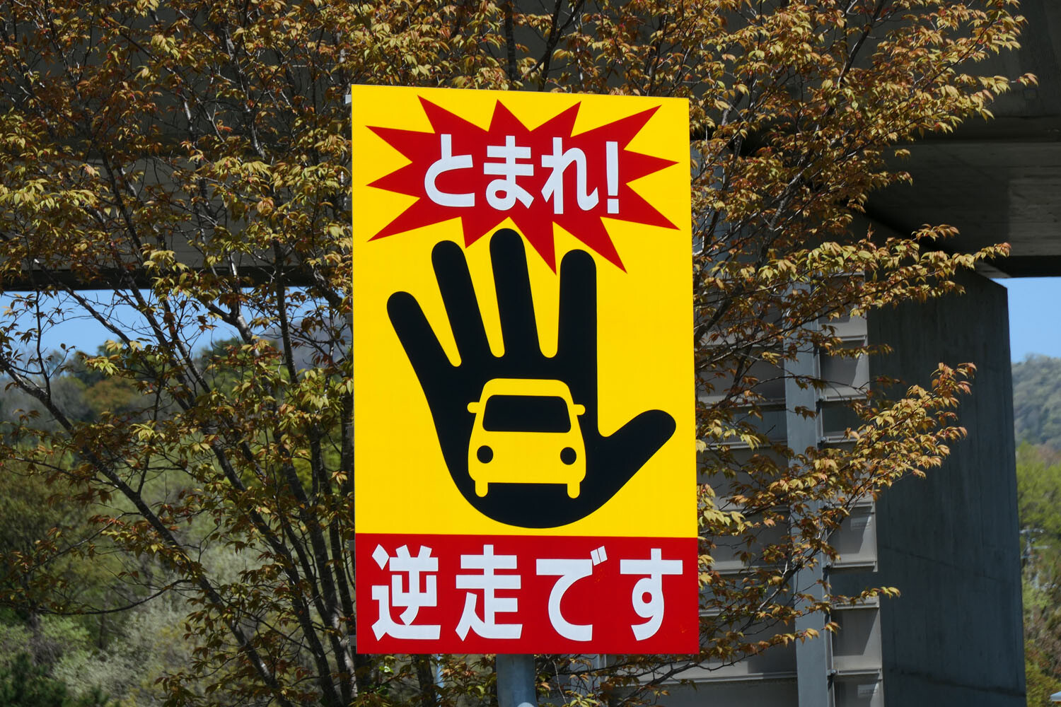 高齢者の逆走に実際に遭遇！ 老人は道が空いていると勘違い!? 抜本的な対策には強制的な「何か」が必要かも【Key’s note】