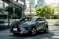 『レクサスNX』にタイプの異なる特別仕様車“Spice＆Chic”と“Cool＆Bright”が登場