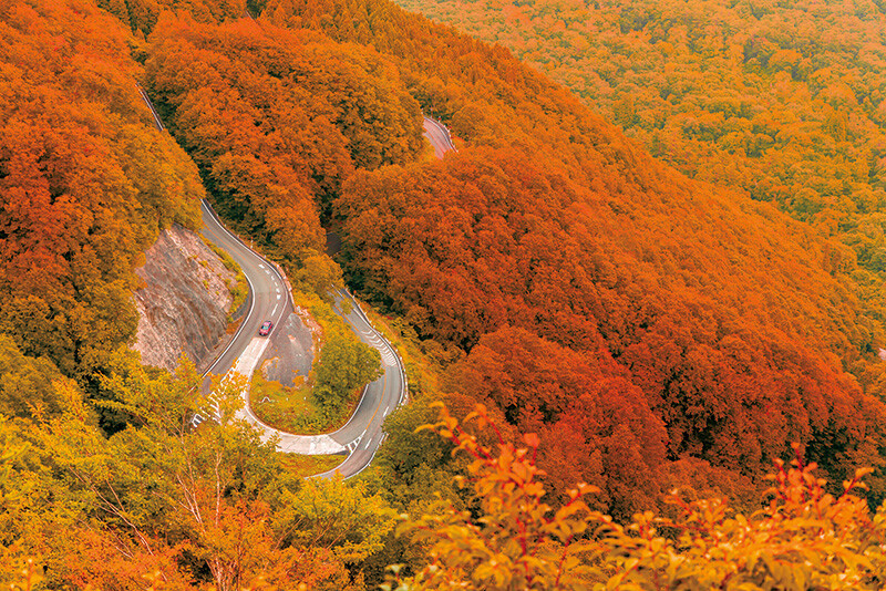 日本全国の秋を堪能する「秋道」～Autumn road in Japan～ Part.1
