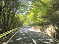 日本全国の秋を堪能する「秋道」～Autumn road in Japan～ Part.3