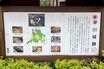ここも「鎌倉殿」ゆかりの城郭だった　神奈川県綾瀬市「早川城跡」　バイクで往く城跡巡り