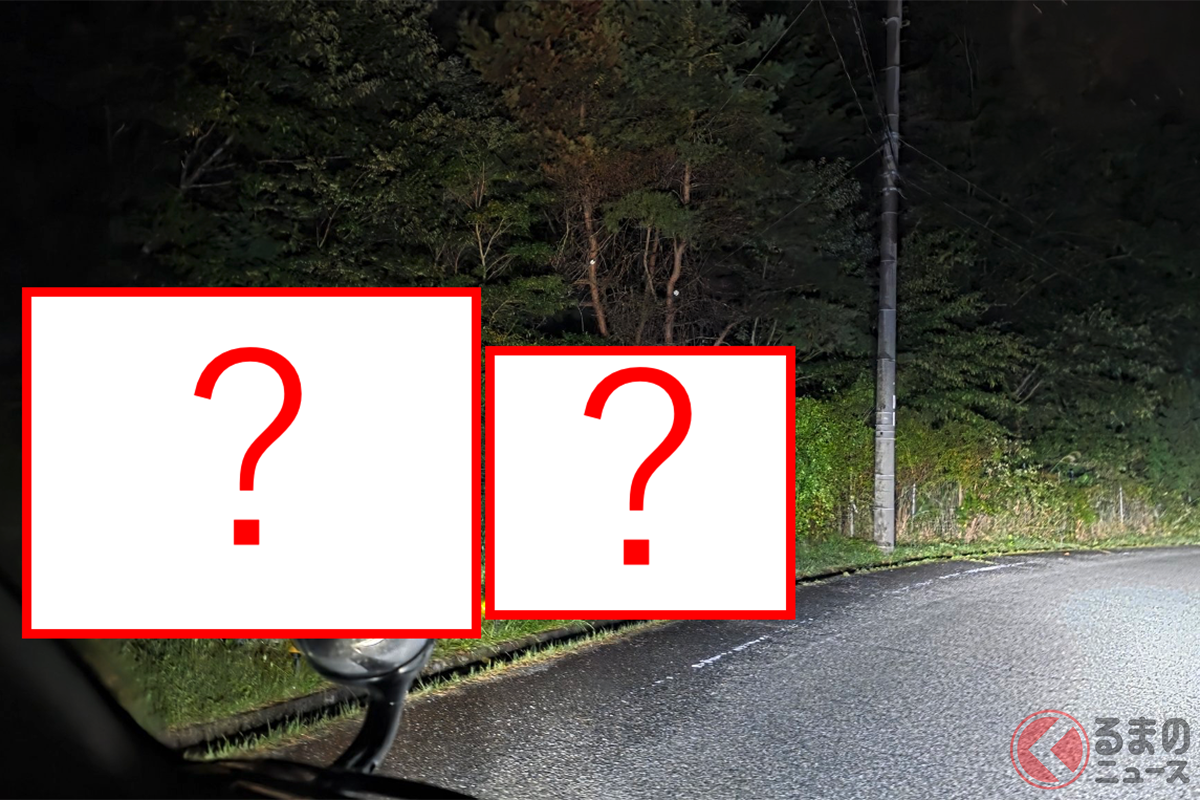 【恐竜】暗い「夜道」で「思わず“3度見”」!? 「衝撃の“光景”」がSNSで話題に！ ロードサイドに現れた「生き物？」とは