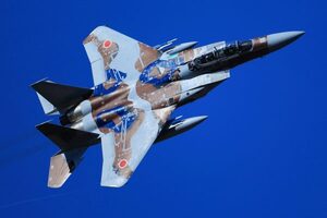 空自の「超エリート部隊」に新たなF-15戦闘機が登場!! 敵役演じる“新塗装機”の映像を初公開