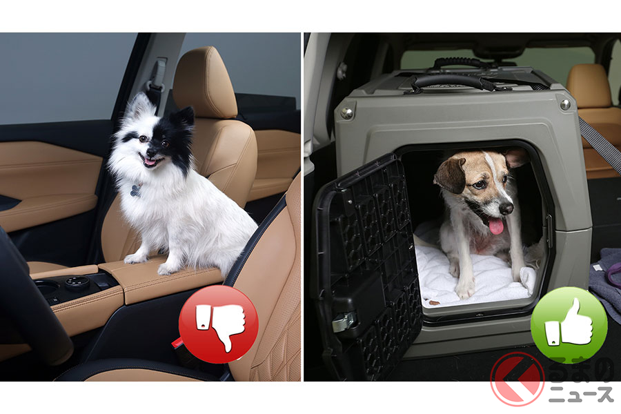 ペットを車内で野放しにするのは危険 犬を安全にクルマに乗せる方法とは くるまのニュース 自動車情報サイト 新車 中古車 Carview